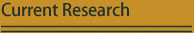 Current Research