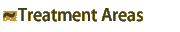 Treatment Areas